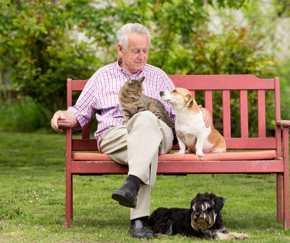 Four Health Benefits of Having A Pet Companion for Seniors