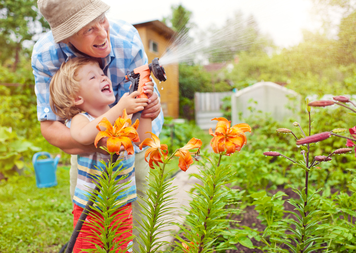 grandfather using the water hose with grandson to water vegetable garden