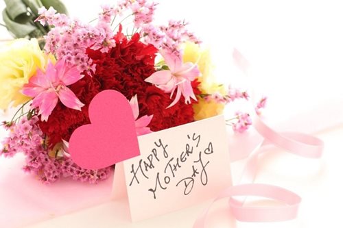 beautiful flowers