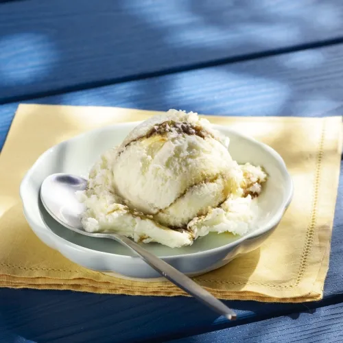 Butterscotch Swirl Ice Cream